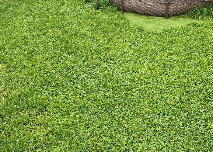 Nocleg ze śniadaniem Dw Szarotka Białka Tatrzańska